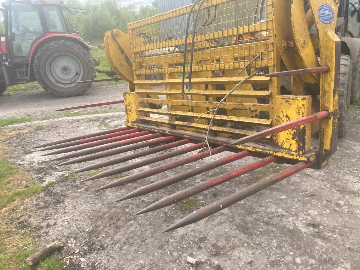 Buckrake - Image 2
