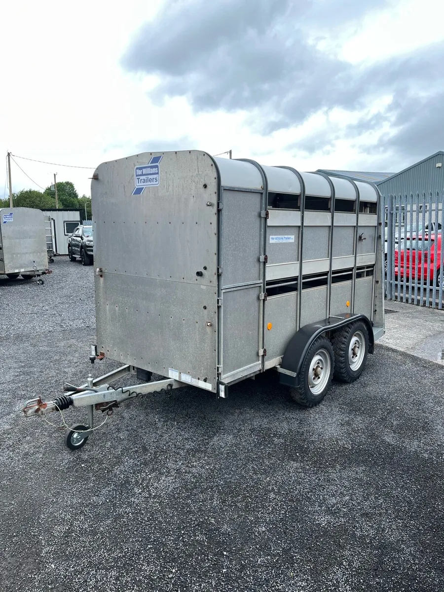 Ifor Williams Sheep Trailer - Image 1