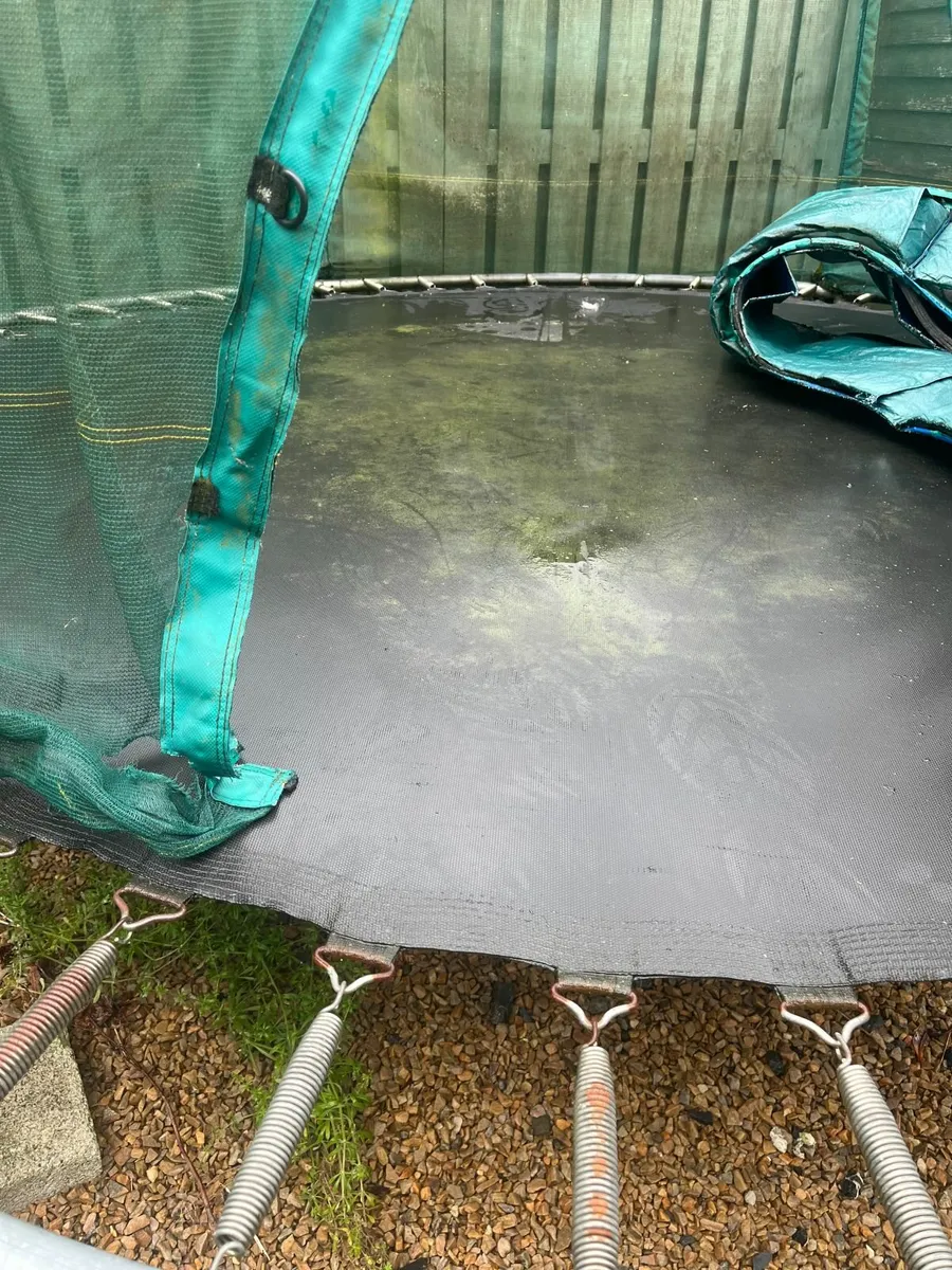 Trampoline - Image 2