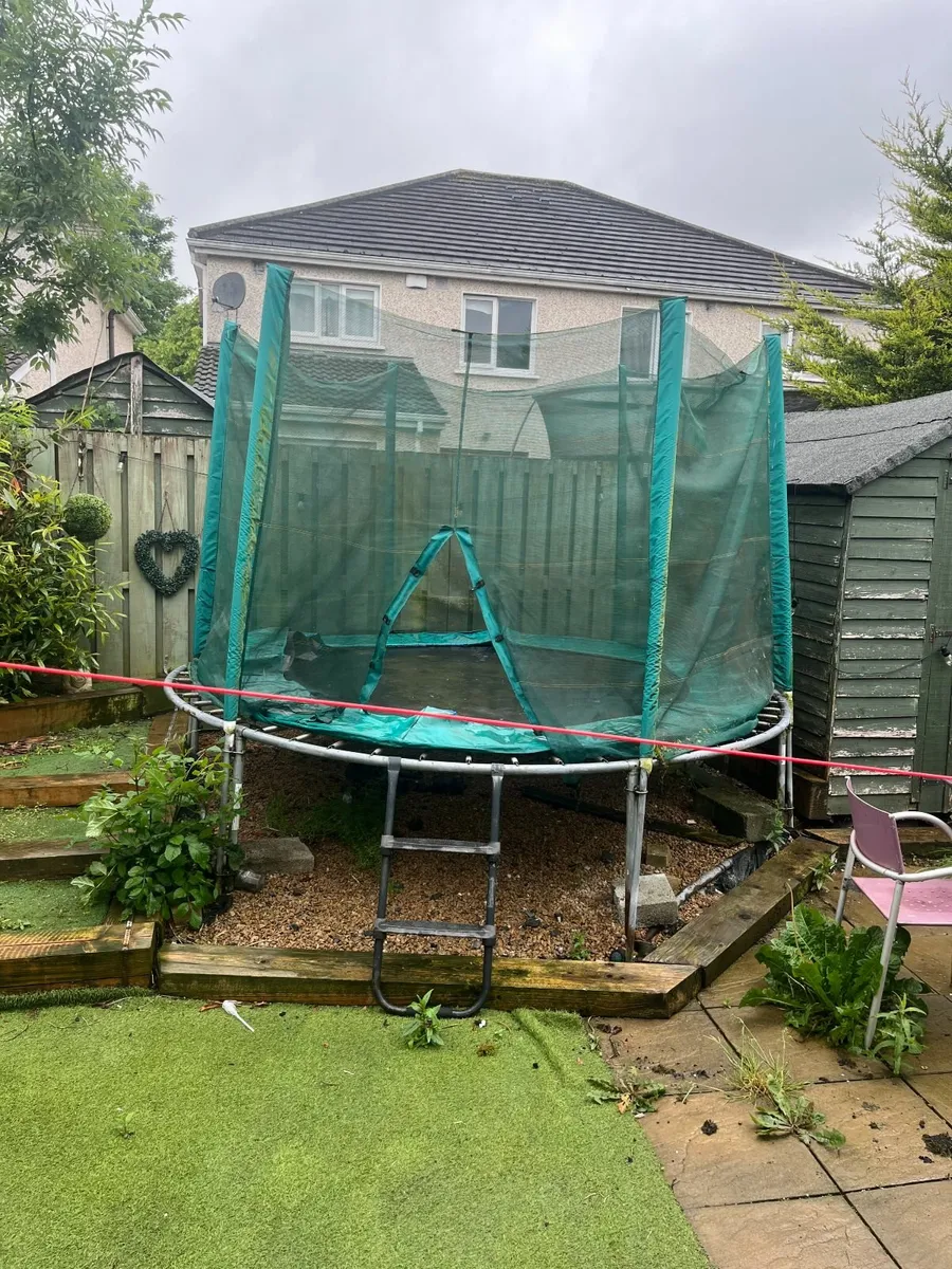 Trampoline - Image 3