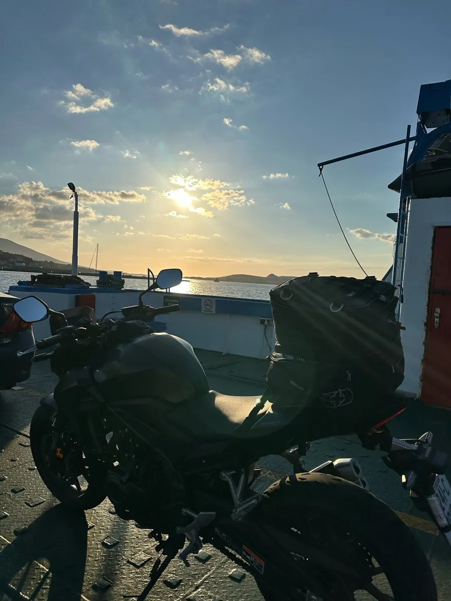 Honda Hornet 500 🐝 A2 legal - Image 3