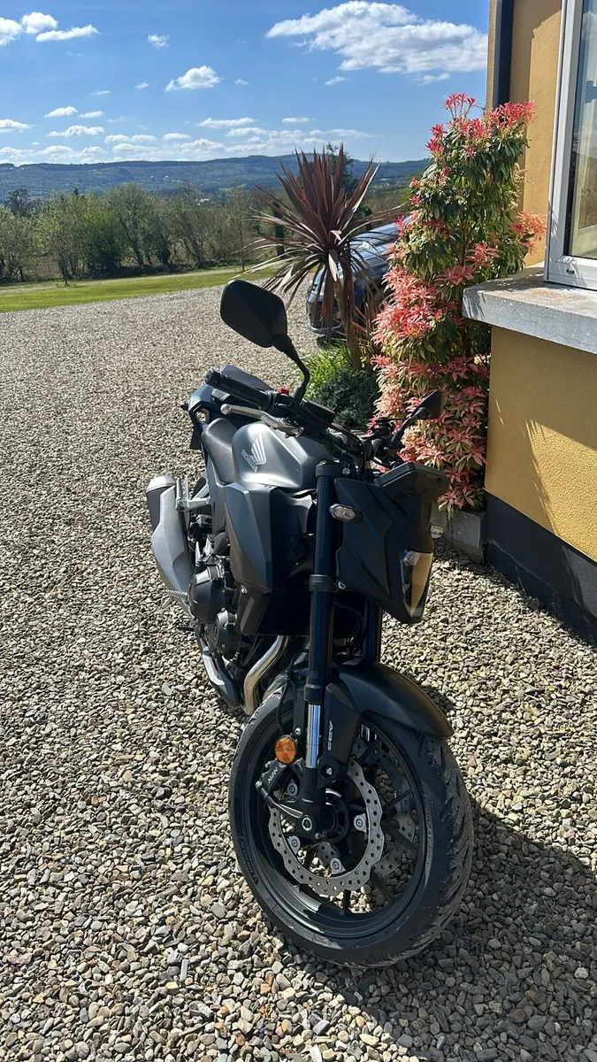Honda Hornet 500 🐝 A2 legal - Image 4