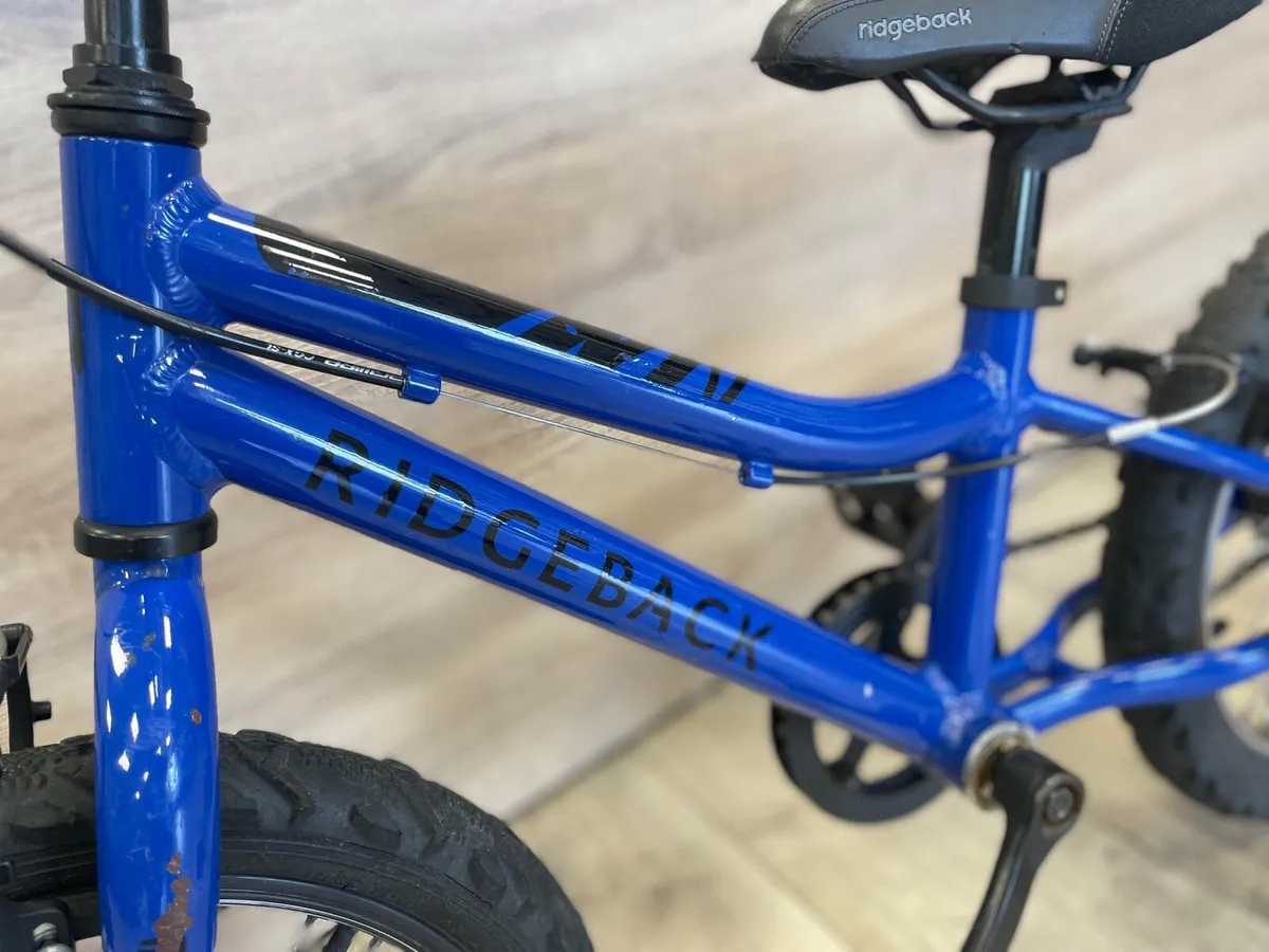 Ridgeback MX16 (like new) - Image 4