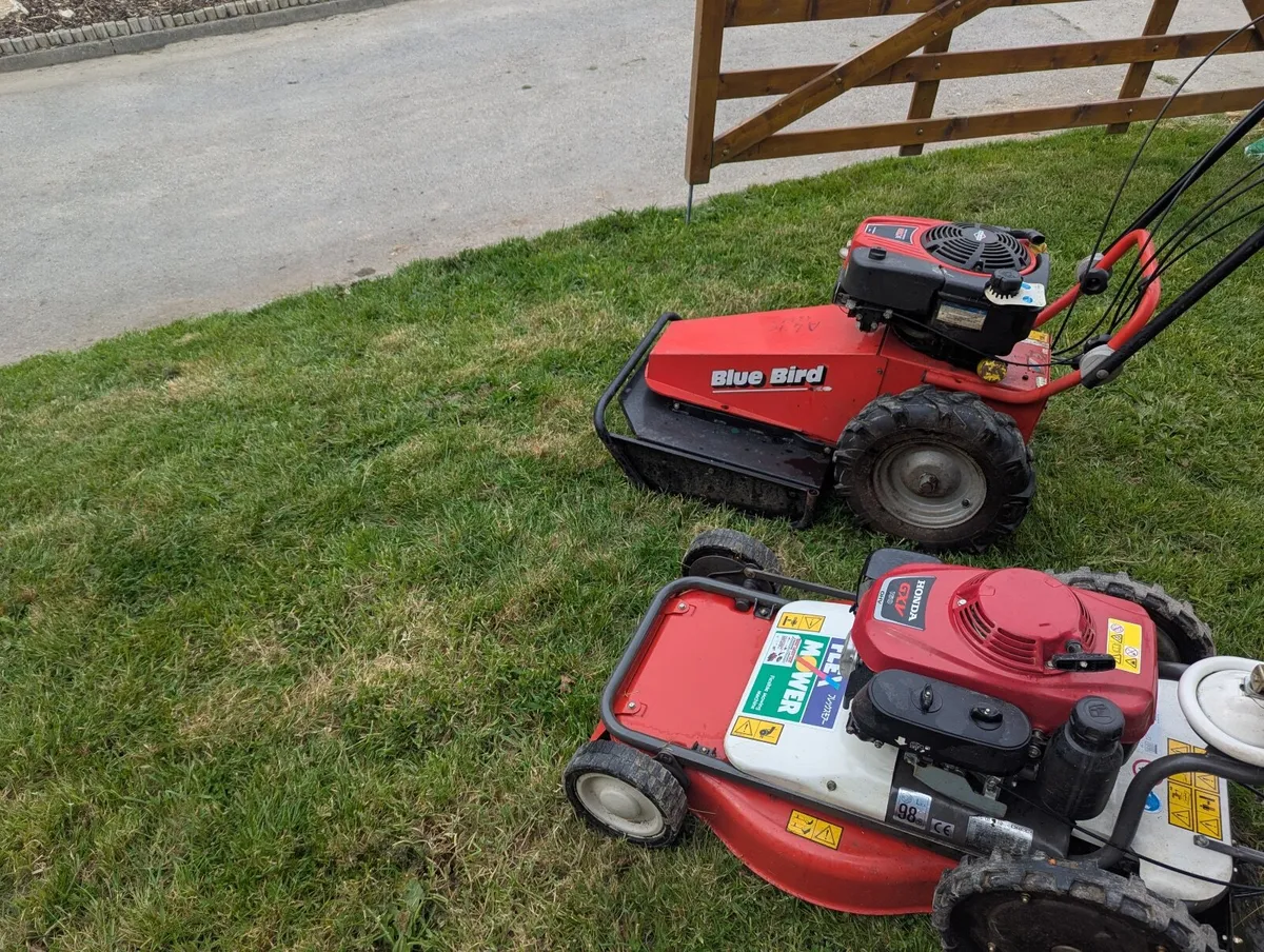 Lawn mower collection Honda and other - Image 4
