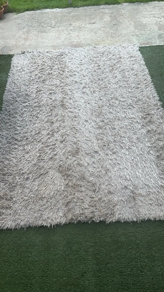 rug - Image 1