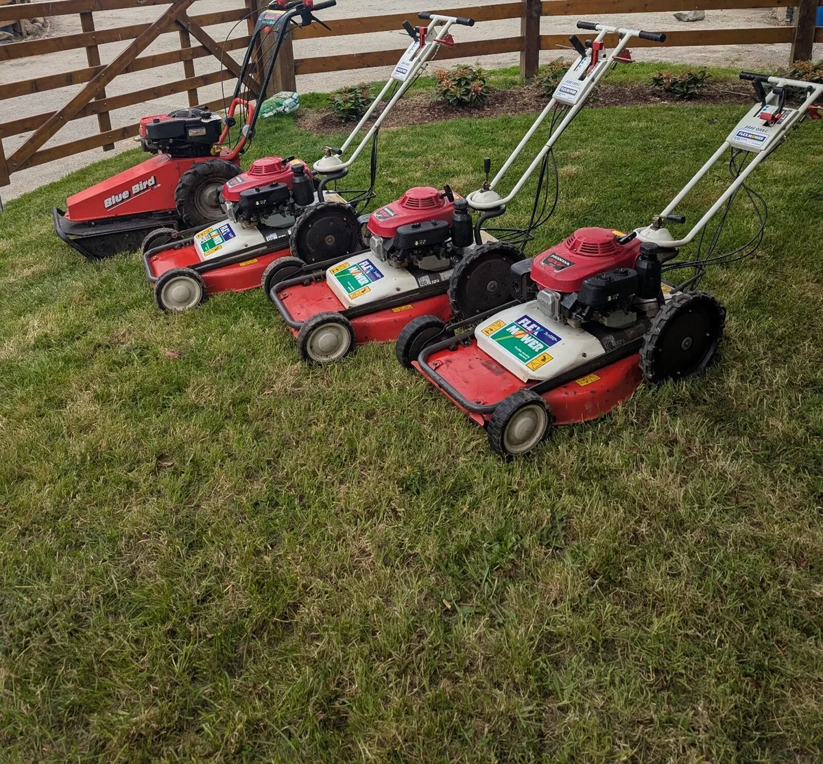 Lawn mower collection Honda and other - Image 2