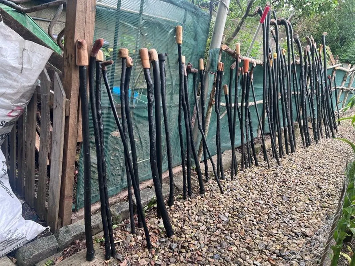 Walking sticks / walking aids - Image 1