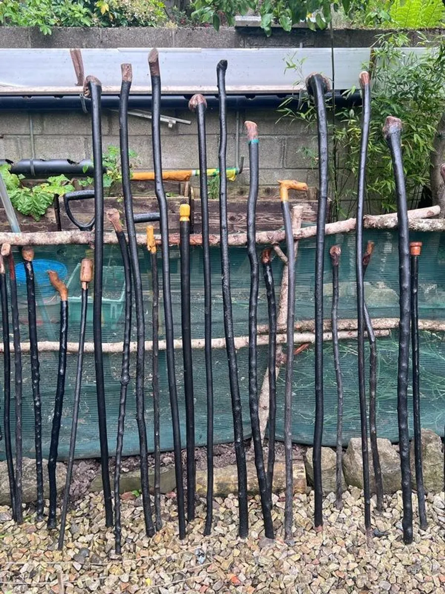 Walking sticks / walking aids - Image 3