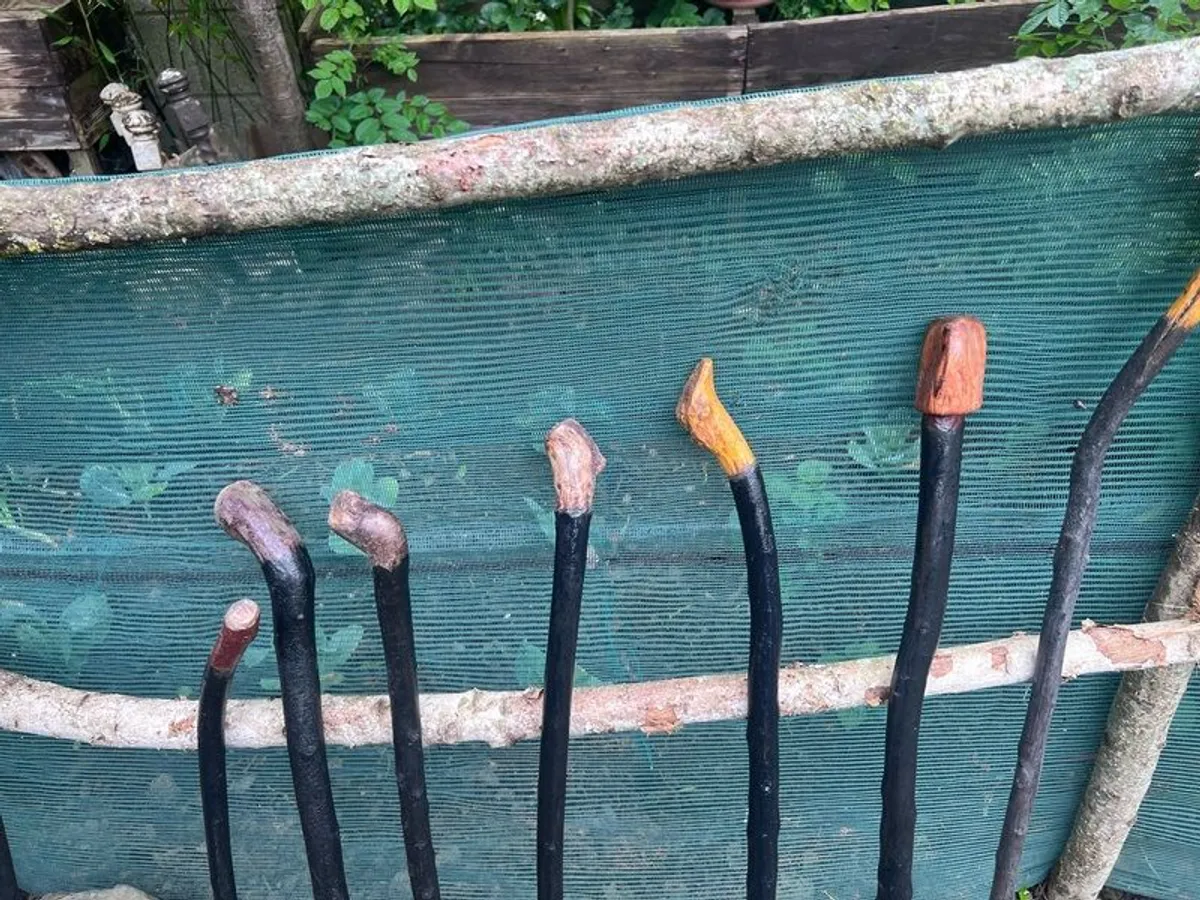 Walking sticks / walking aids - Image 4