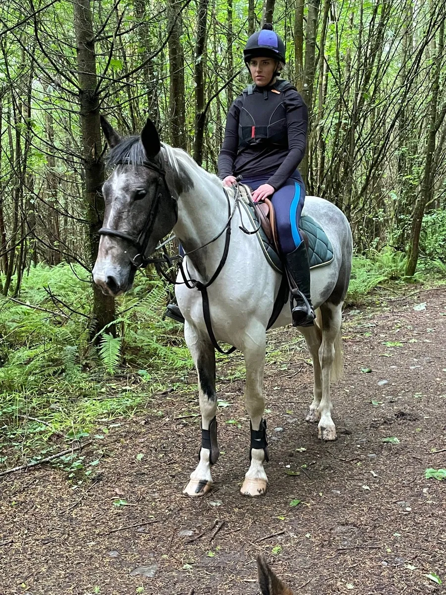Quiet genuine mare - Image 3