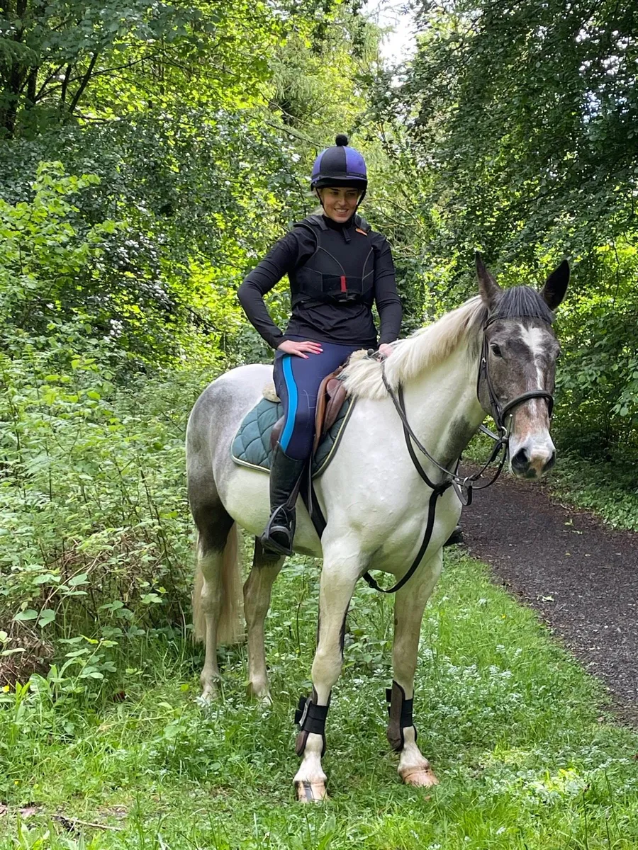 Quiet genuine mare - Image 4