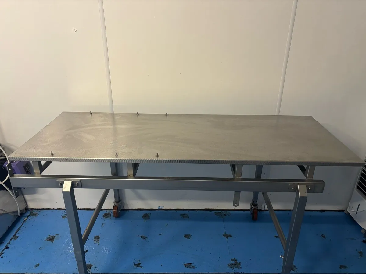Stainless Steel Table On Wheels - Image 1