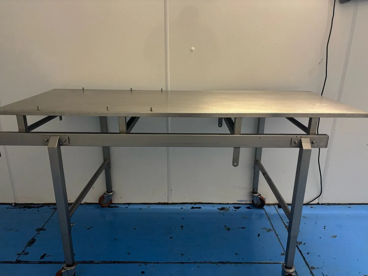 Stainless Steel Table On Wheels - Image 2
