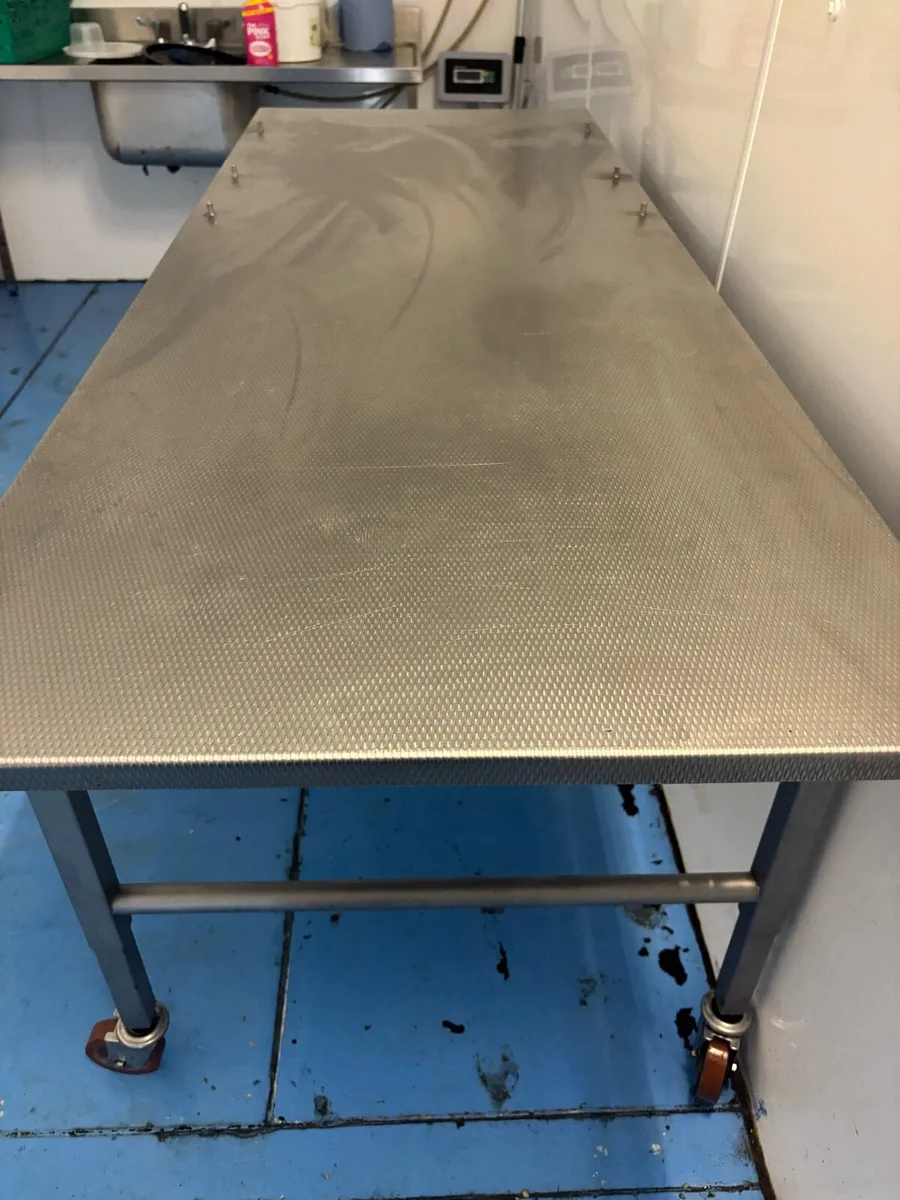 Stainless Steel Table On Wheels - Image 3