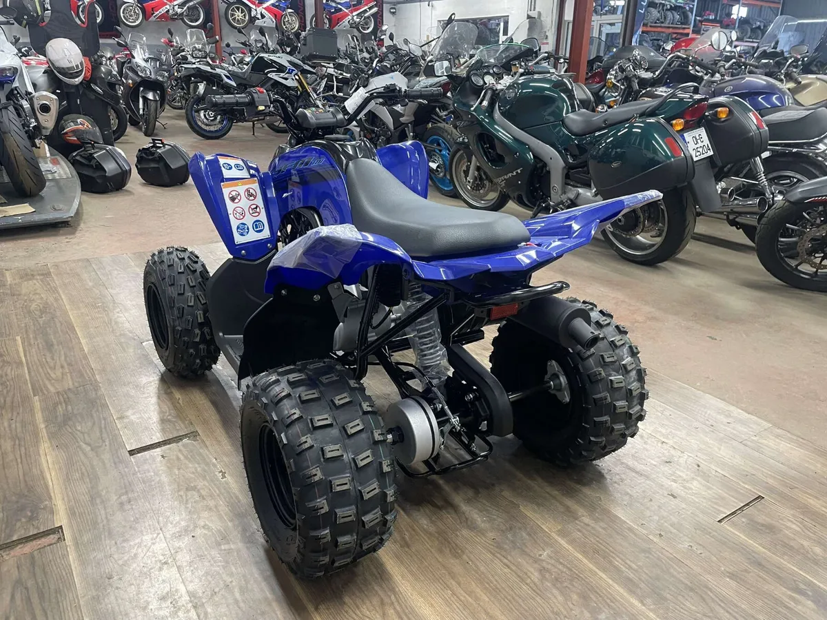 Yamaha YFM110R – Raptor 110 - Image 4