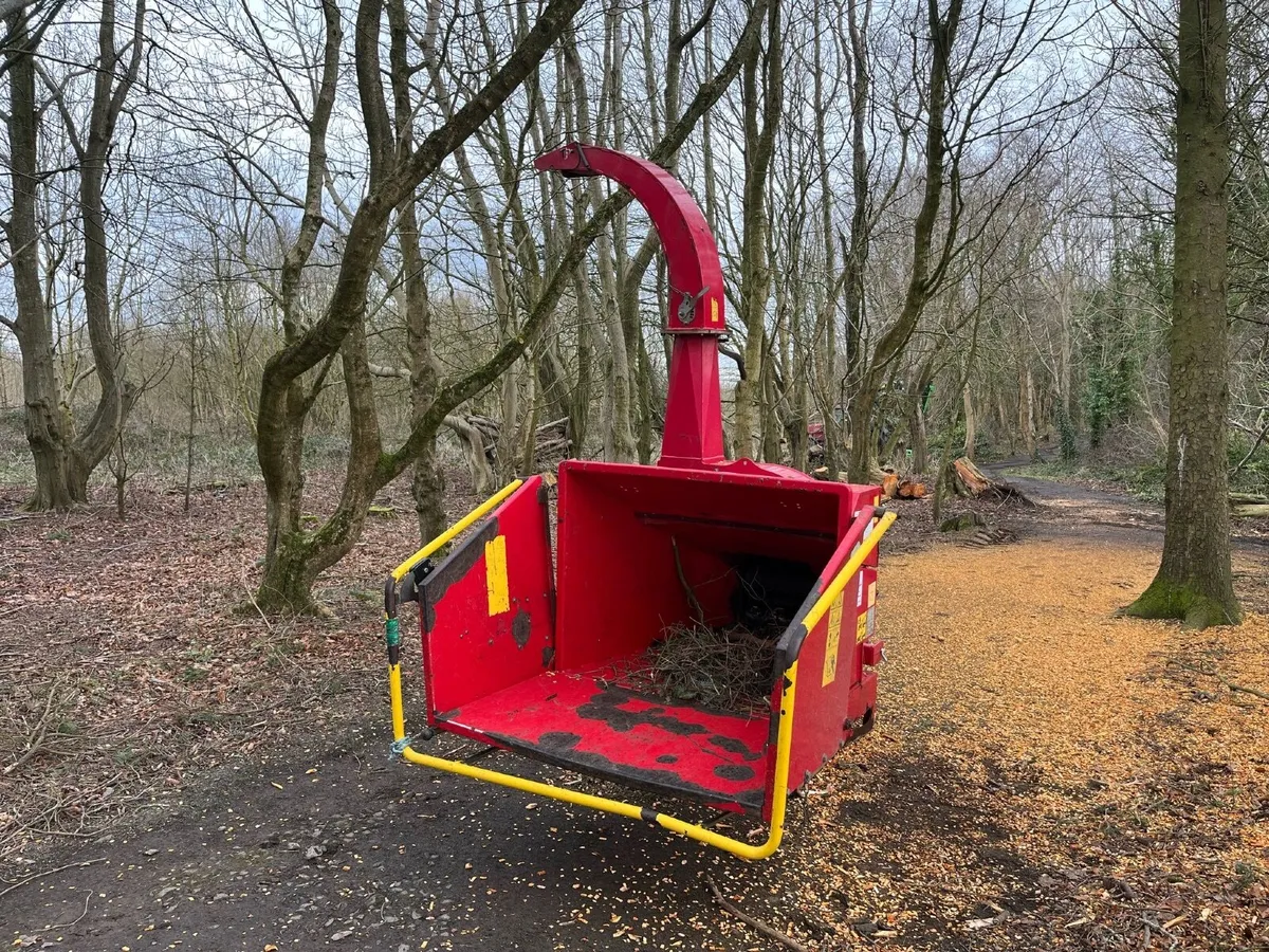 Wood chipper - Tp 250 - Image 2