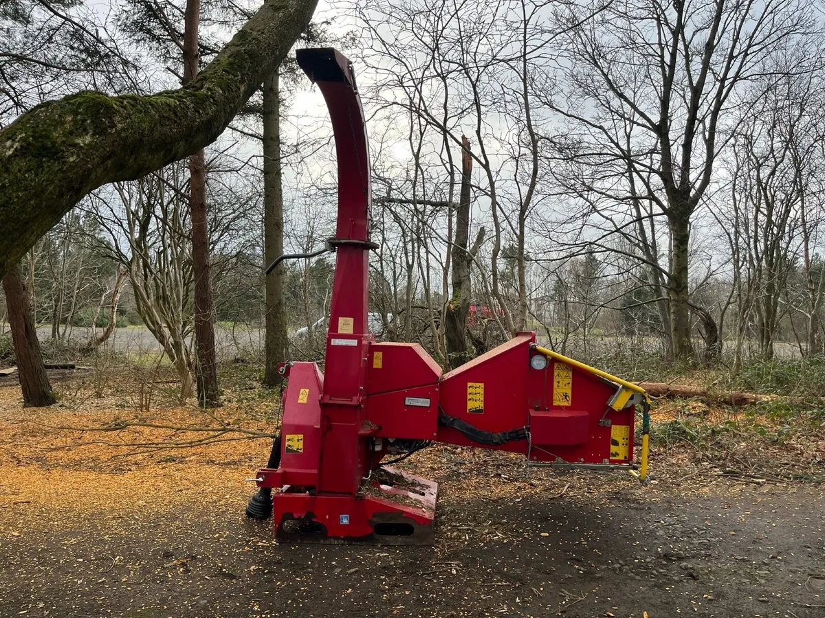 Wood chipper - Tp 250 - Image 3