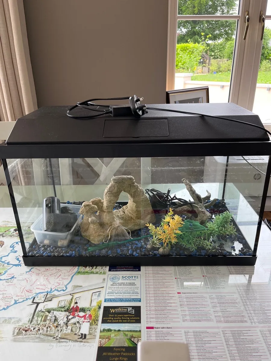 Fish Tank - Image 1