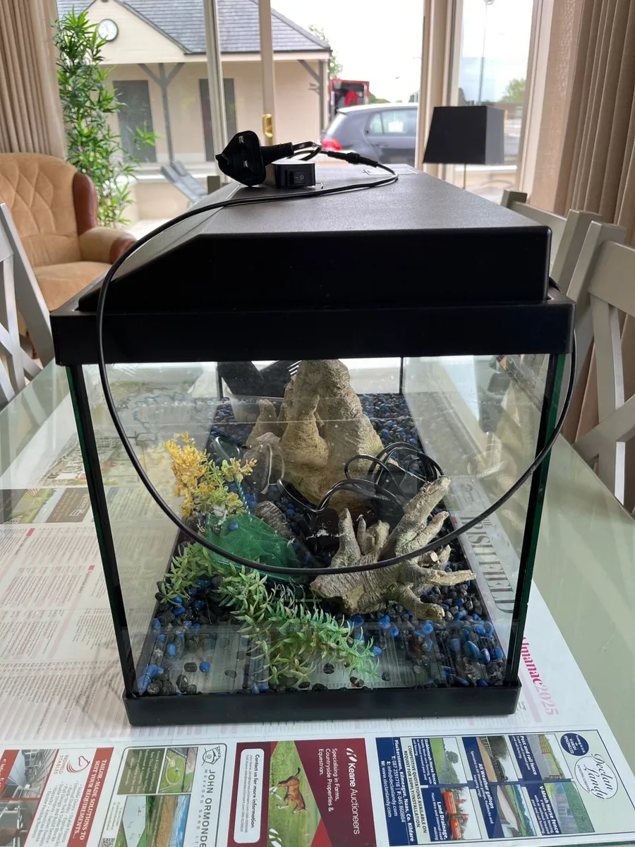 Fish Tank - Image 2