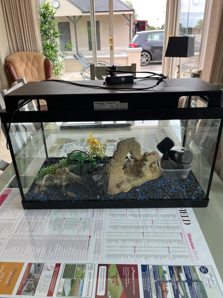 Fish Tank - Image 3