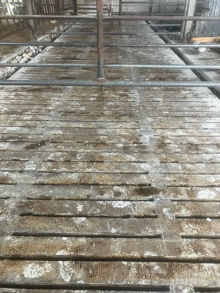 Slats 12’6” - Image 1