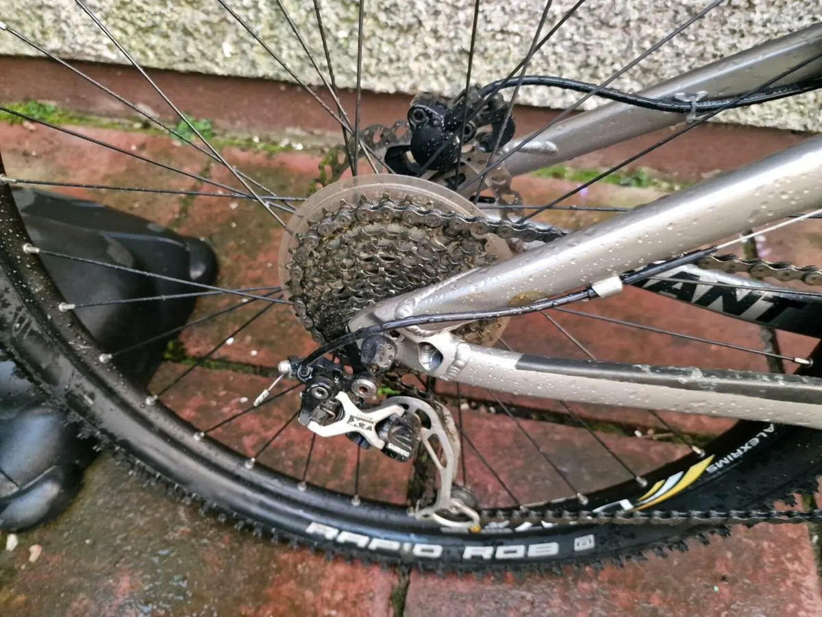 Giant bike - Image 4