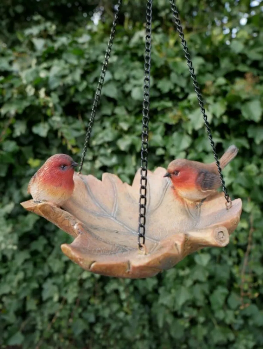 Bird Feeder – Robin – D6926
