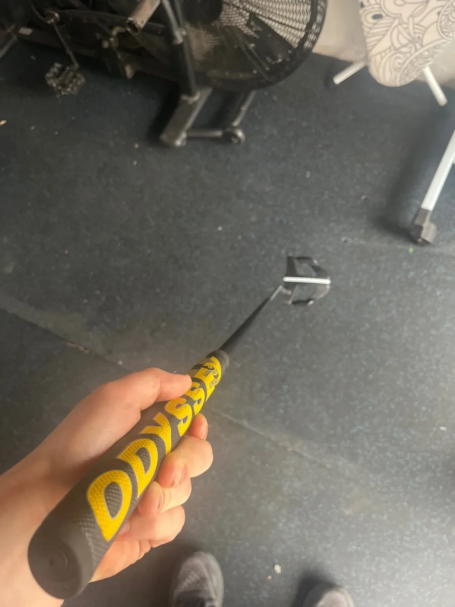Golf putter - Image 1