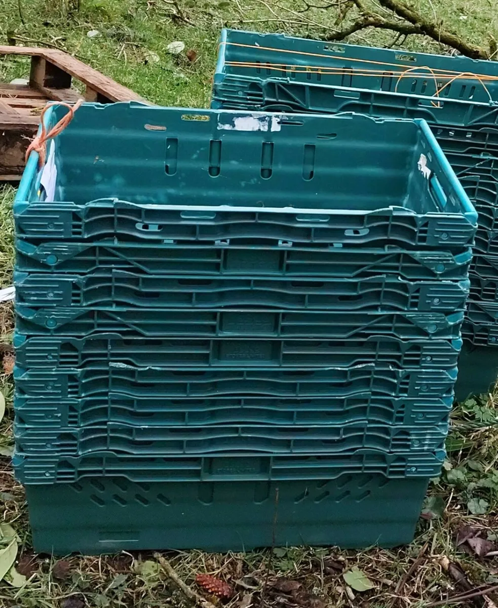 Crate plastic boxes - Image 3