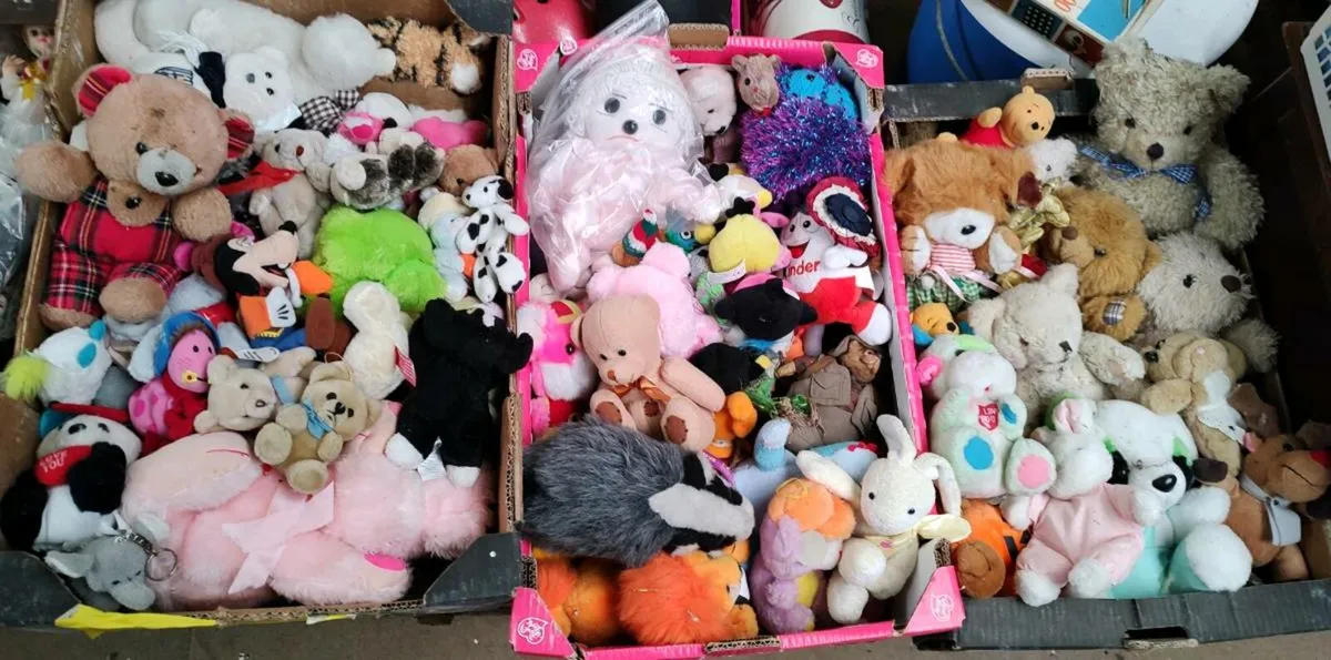 Children's Soft Toys