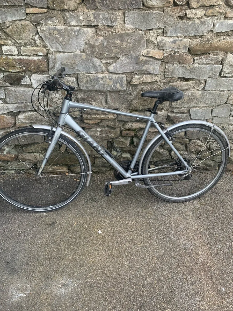 Hybrid bicycle