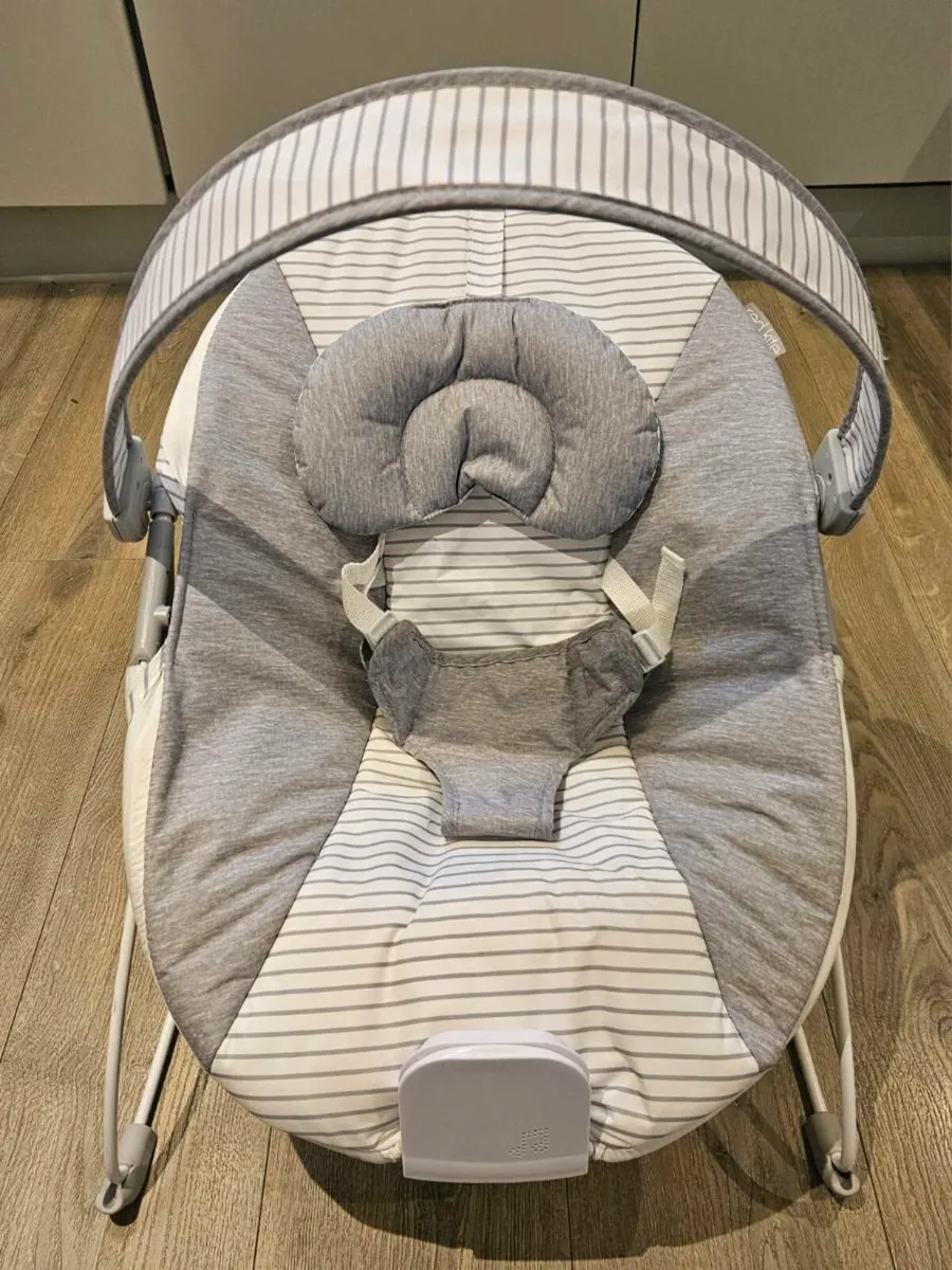"Red Kite" Baby Bouncer - Image 1