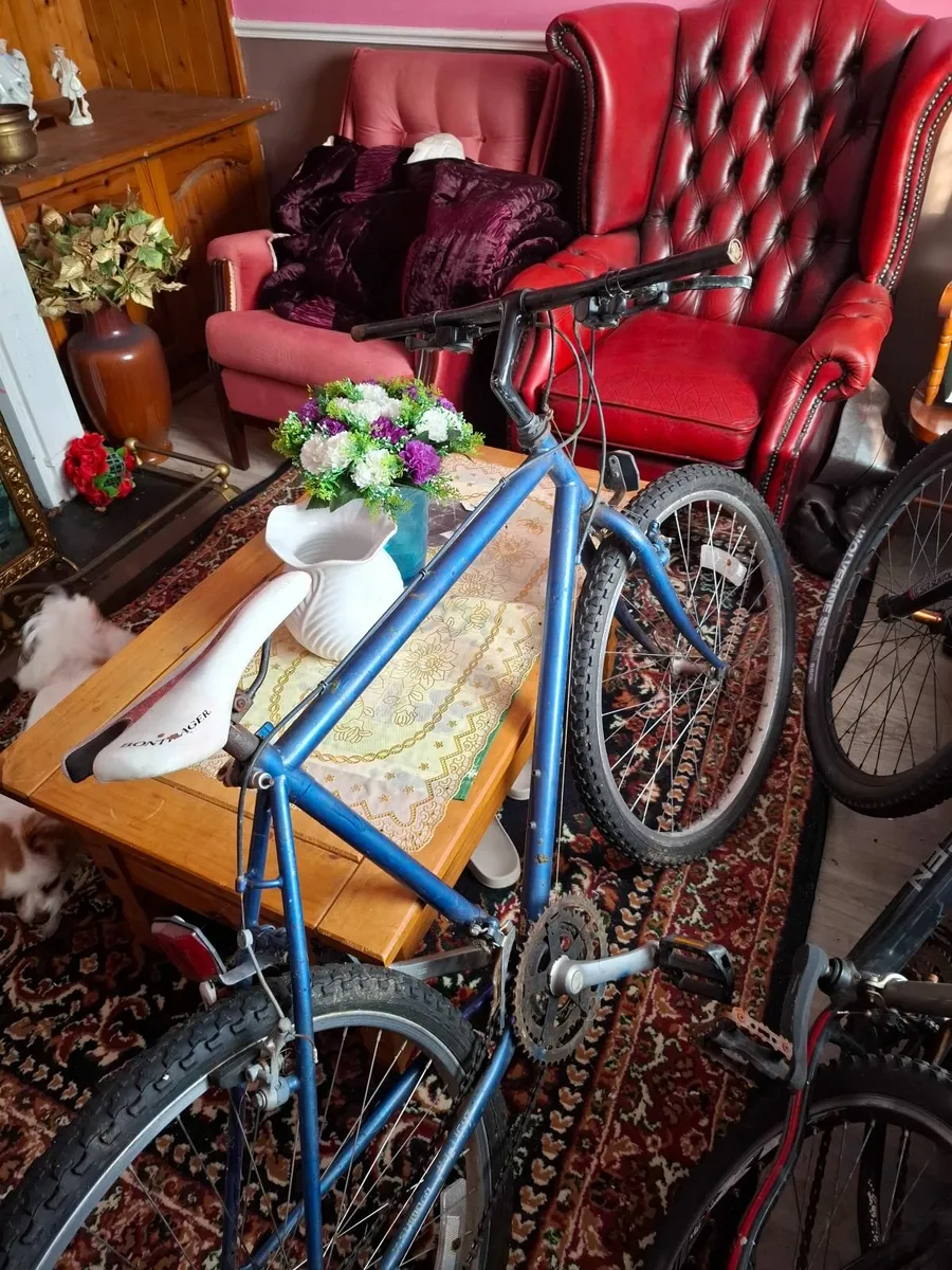 Bike - Image 1