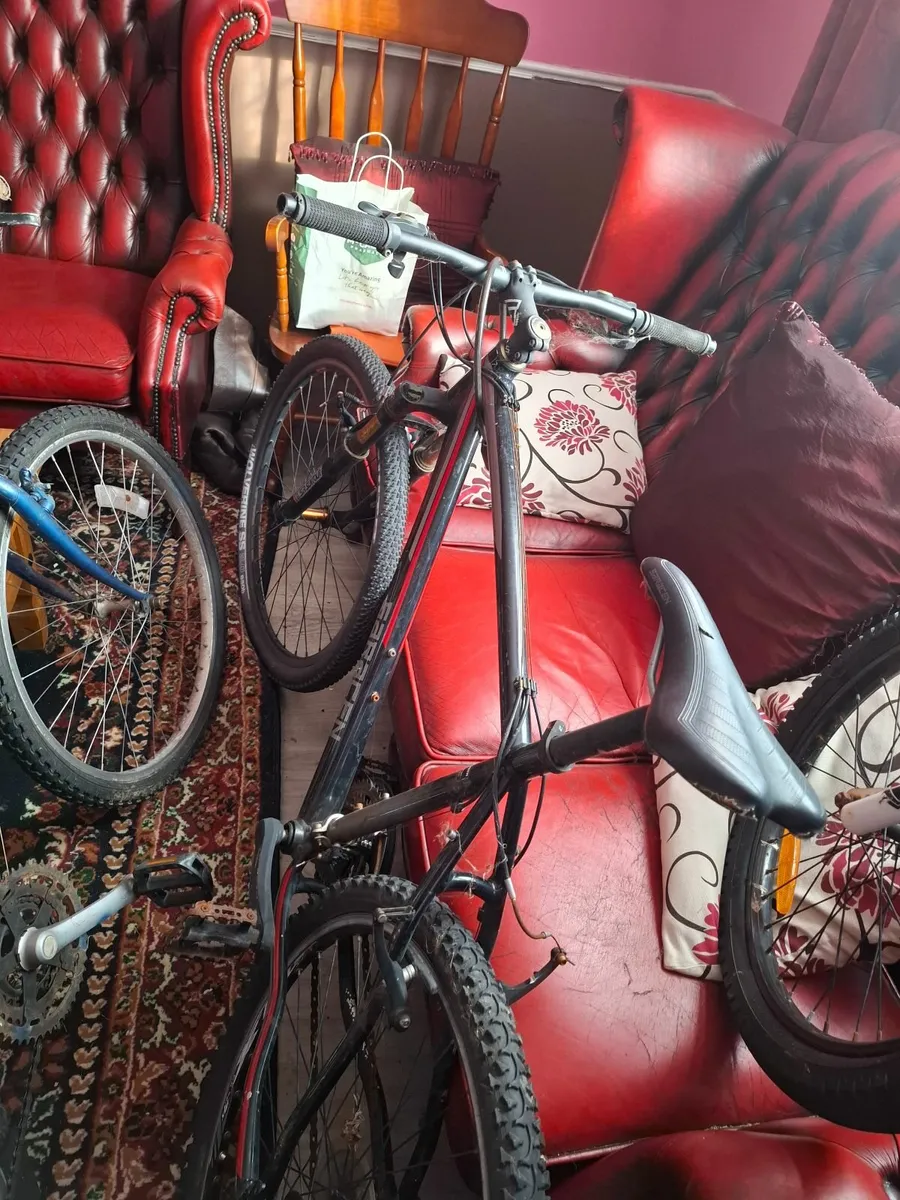 Bike - Image 3