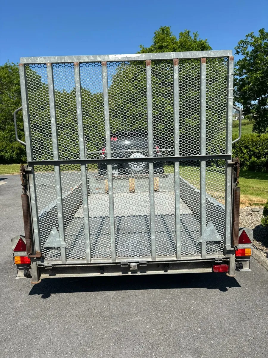 Indespension 10x6 plant trailer - Image 3