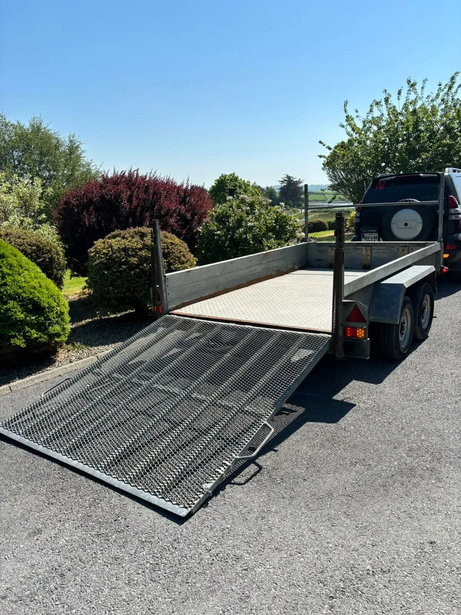 Indespension 10x6 plant trailer - Image 4