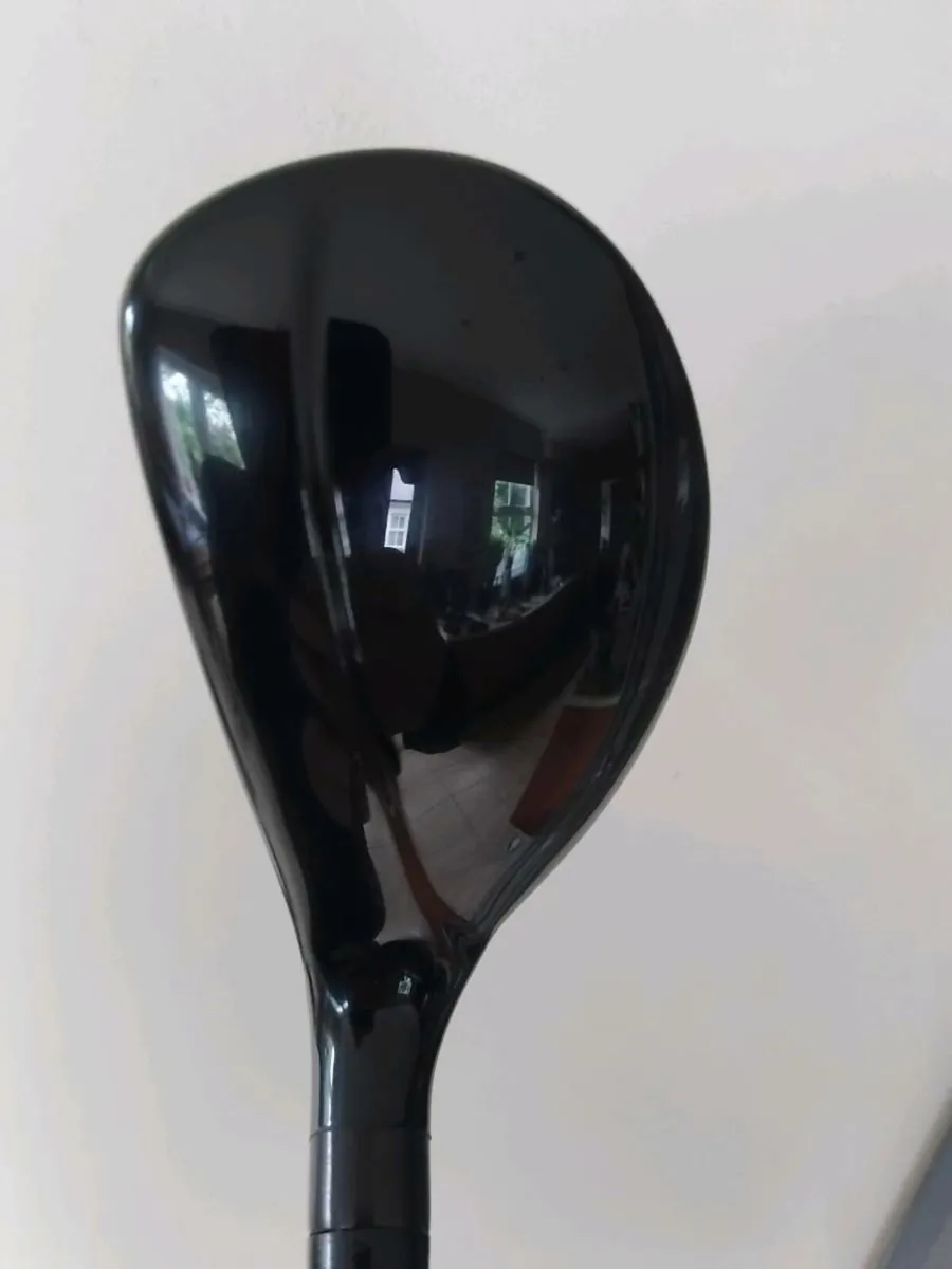 Hybrid - Image 1