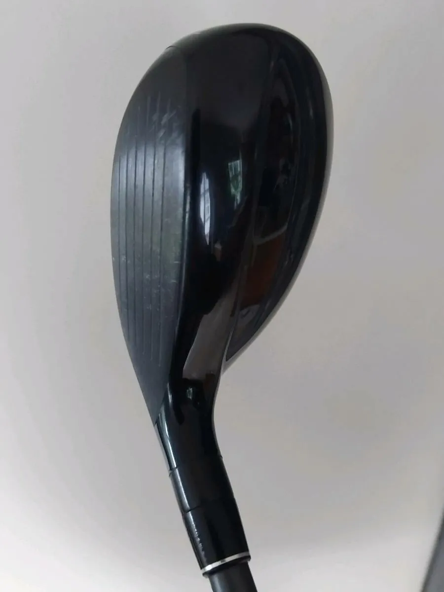 Hybrid - Image 2