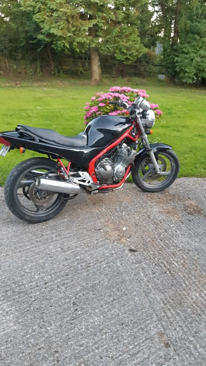 Yamaha xj600 - Image 3