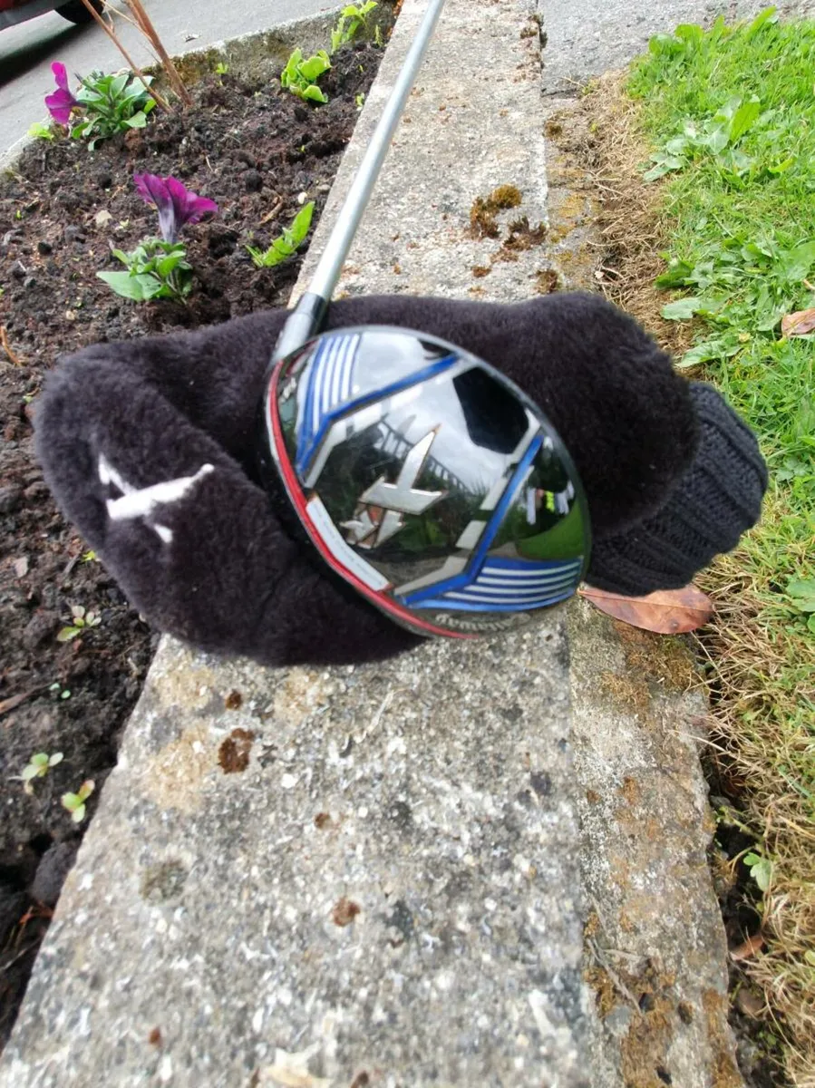 Golf club - Image 1