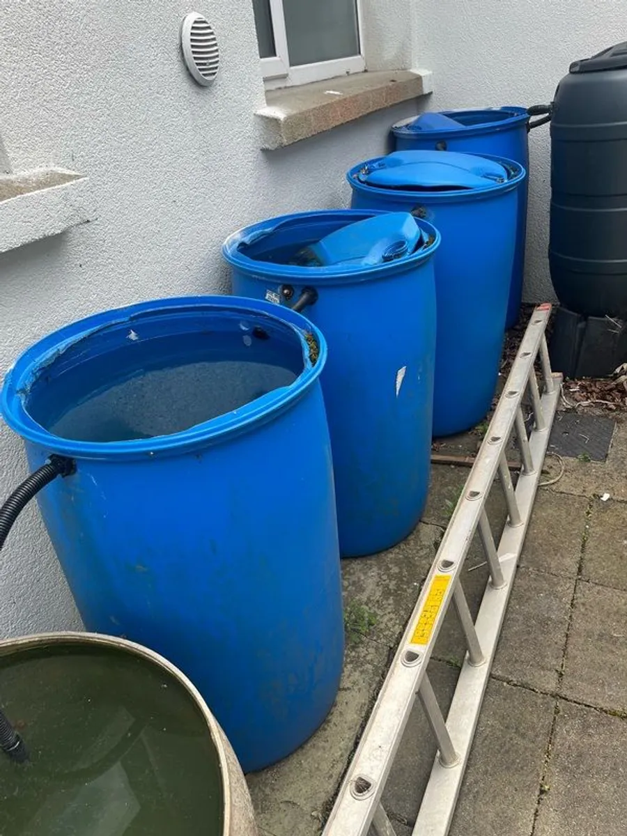 Rain water Butt x 3