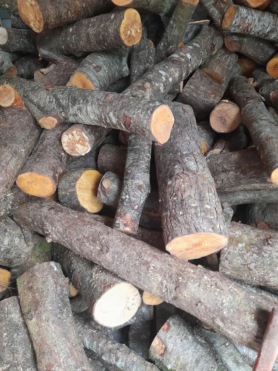 Firewood - Image 3