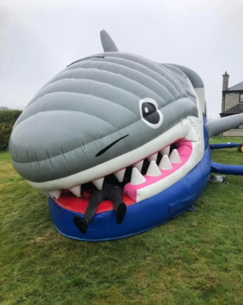 50ft shark - Image 1
