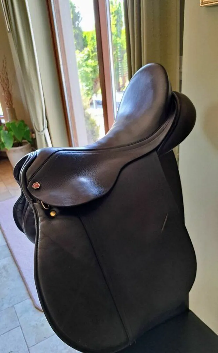 Albion GP Saddle 17.5" M Leather (Black) - Image 2