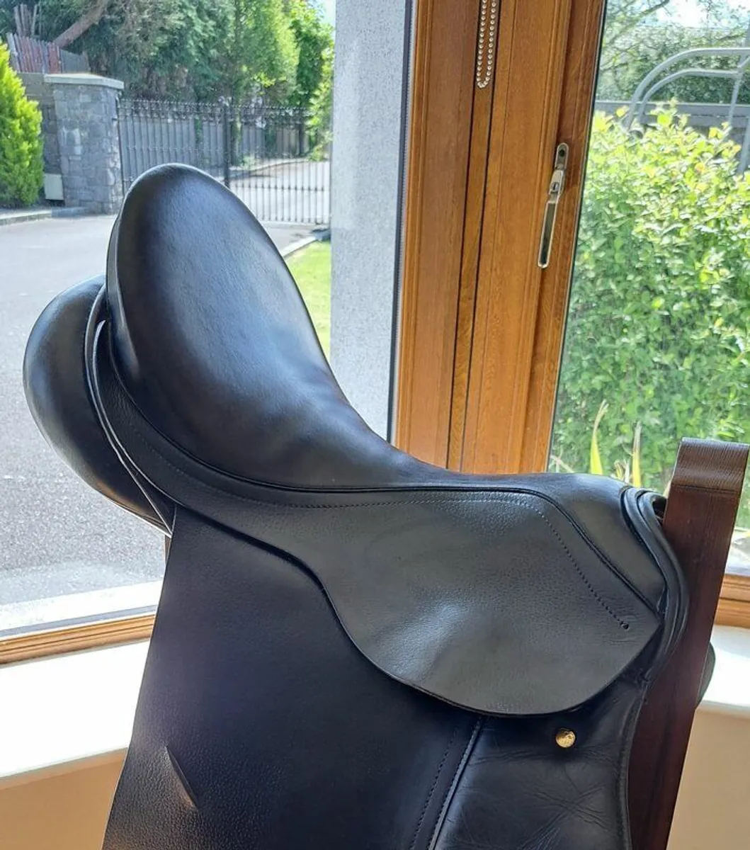 Albion GP Saddle 17.5" M Leather (Black) - Image 4