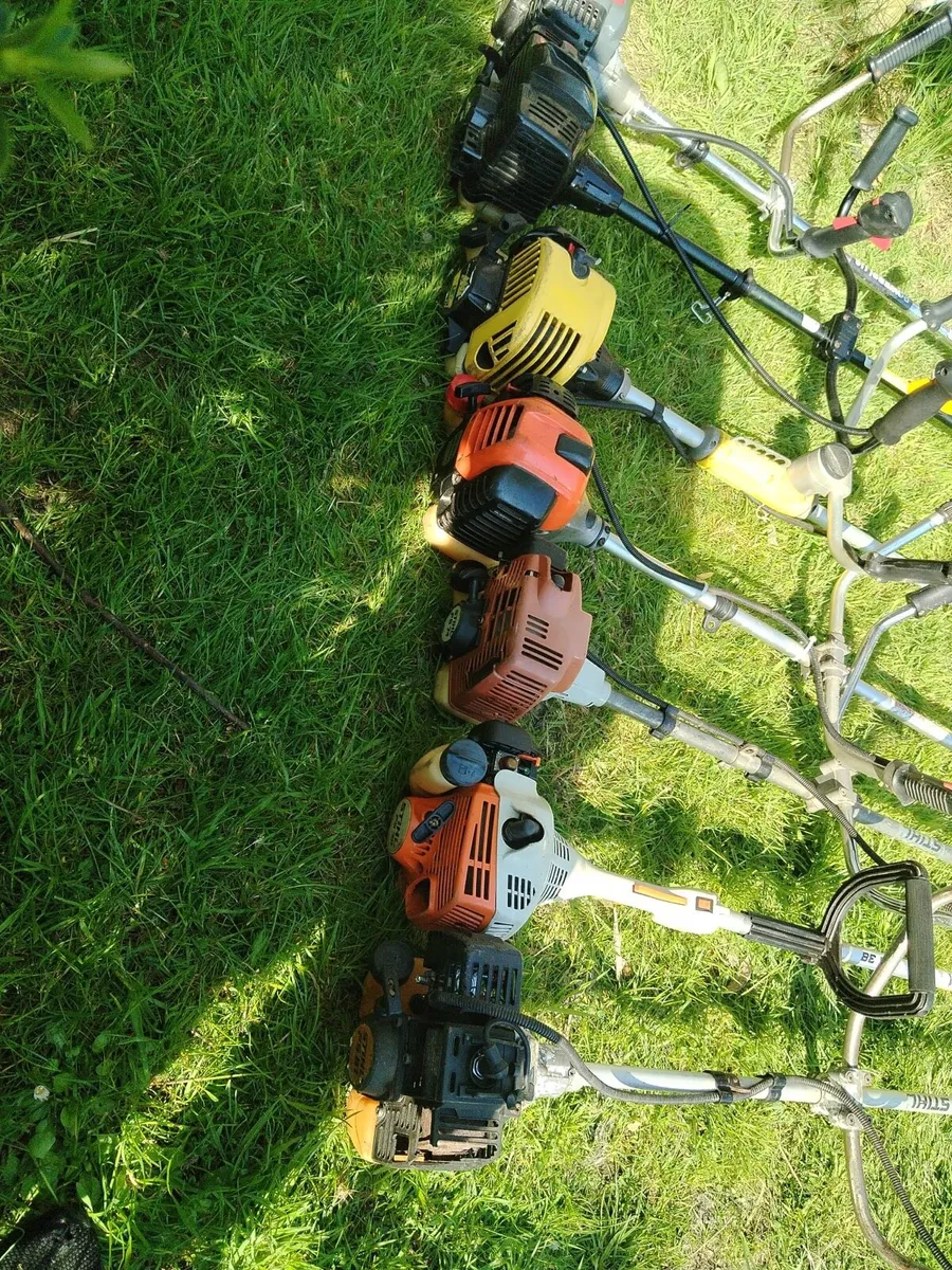 Strummers - Image 1