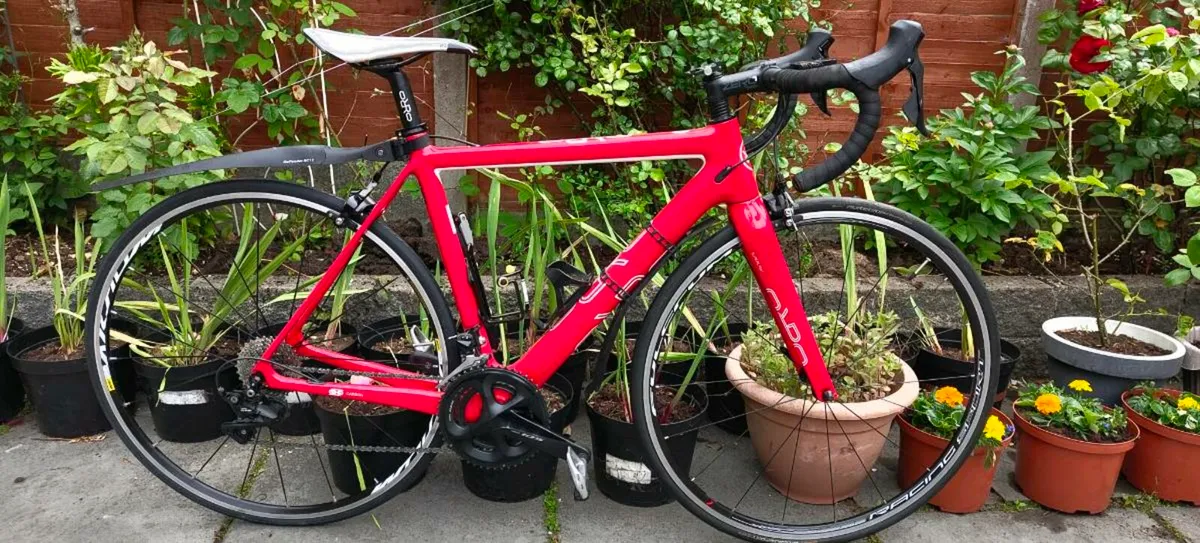 Road Bike -Carbon fibre Frame with Bryton Ryder 15 - Image 1