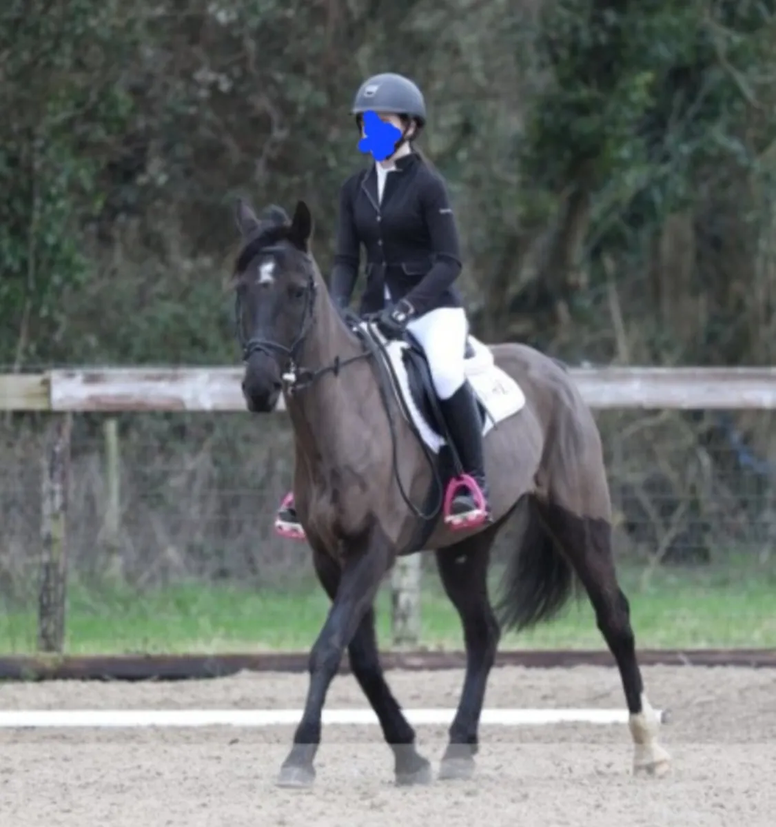 14.2 Pony - Image 3
