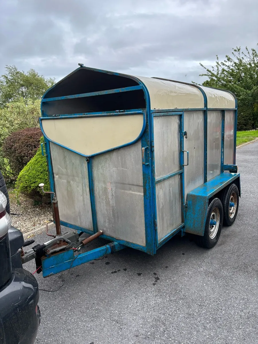 8x4”6 Cattle box - Image 2