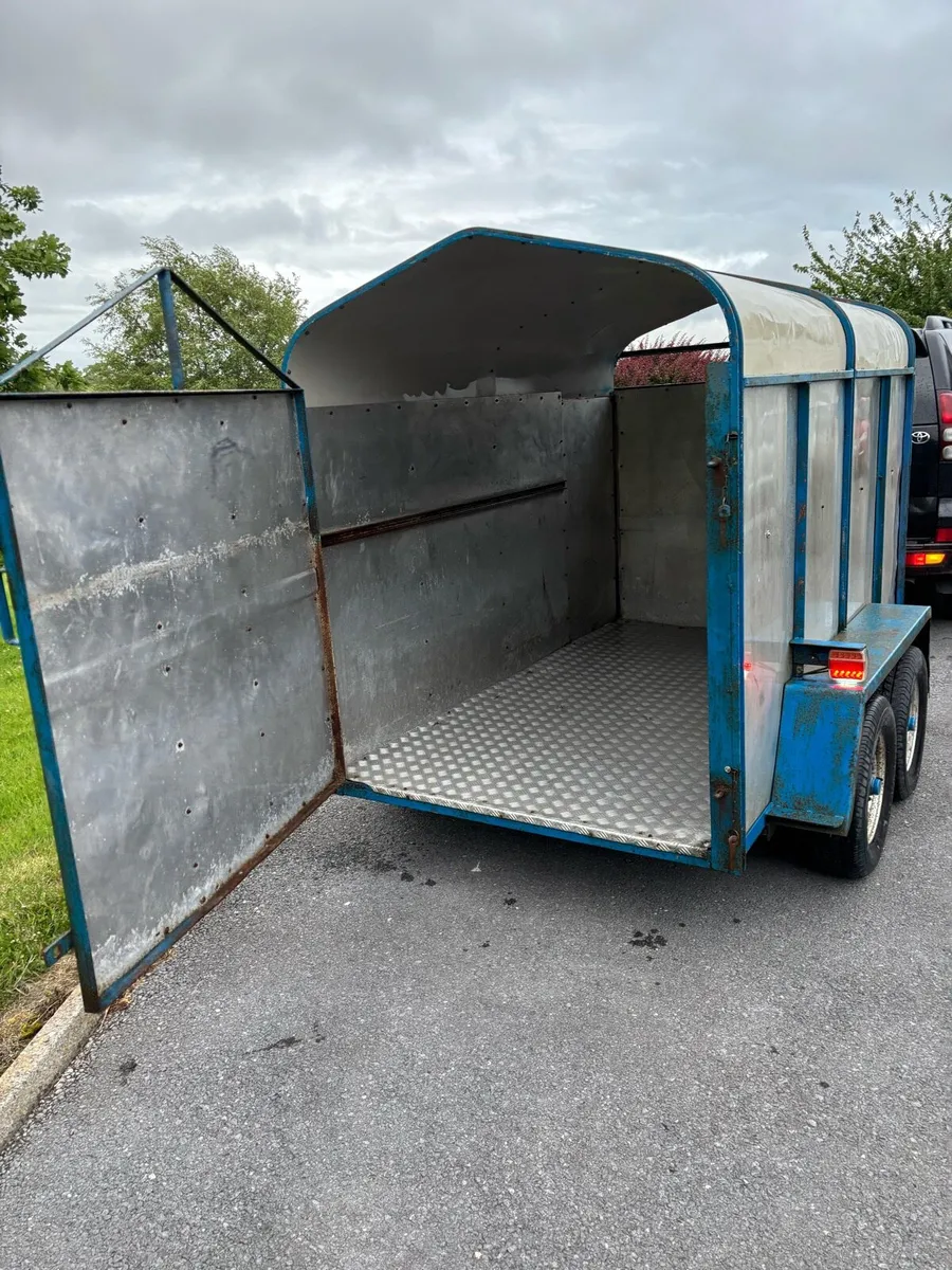 8x4”6 Cattle box - Image 1